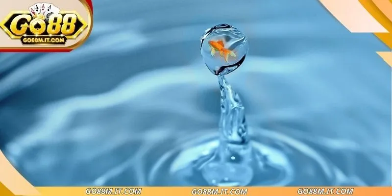Nằm mơ thấy nước trong